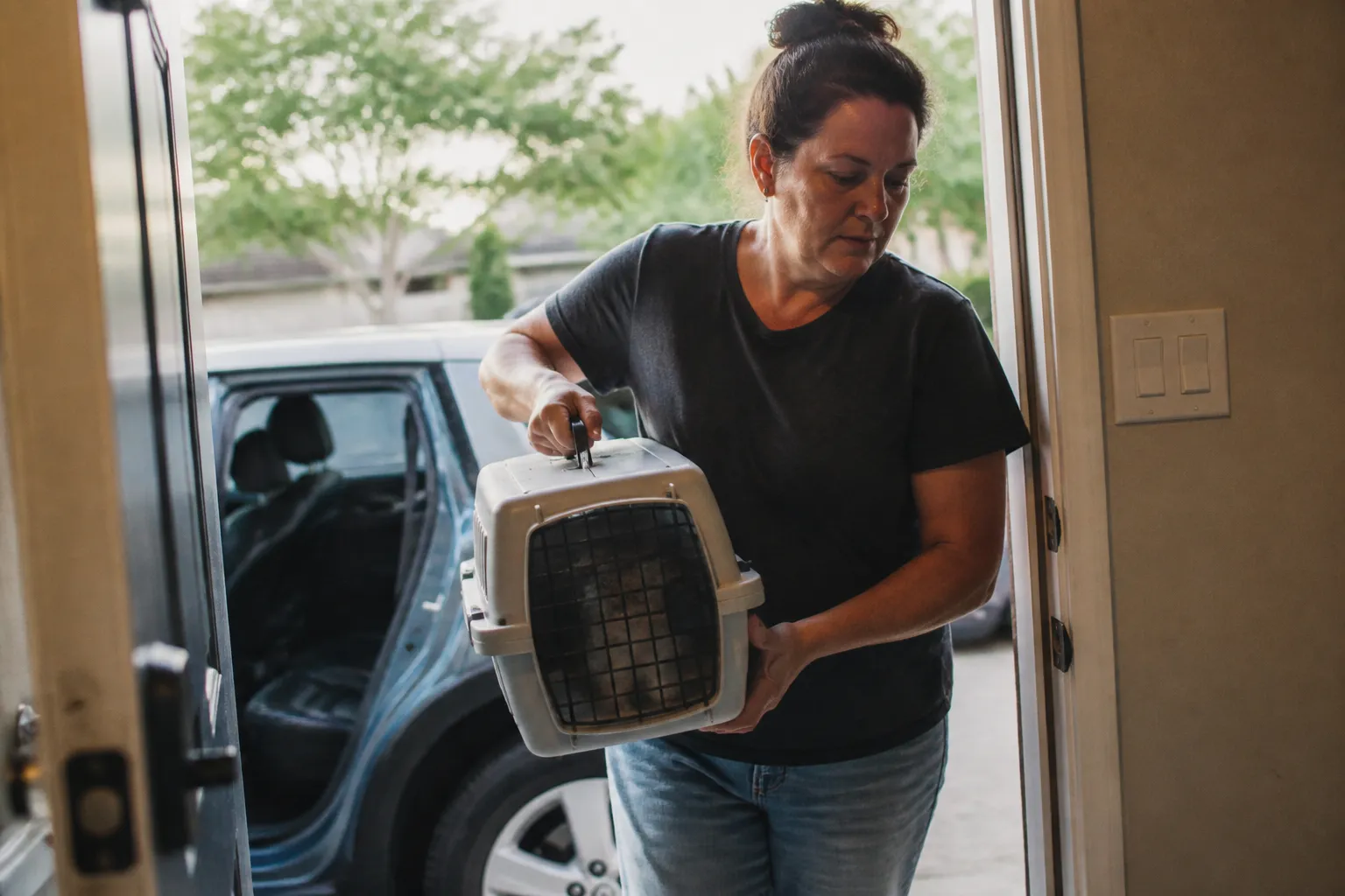 East Dallas Kitty Club volunteer carries a fully vetted cat from a car to a temporary foster home.