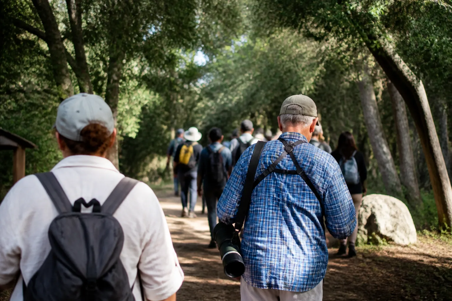 Weekend hikers and birders enter Cedar Ridge Preserve under a thick canopy on a bright morning.