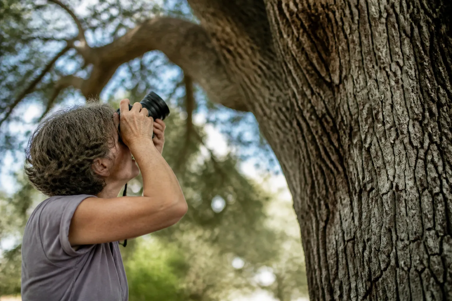 Volunteer photographs and documents a large Texas tree with close-up bark and canopy details.