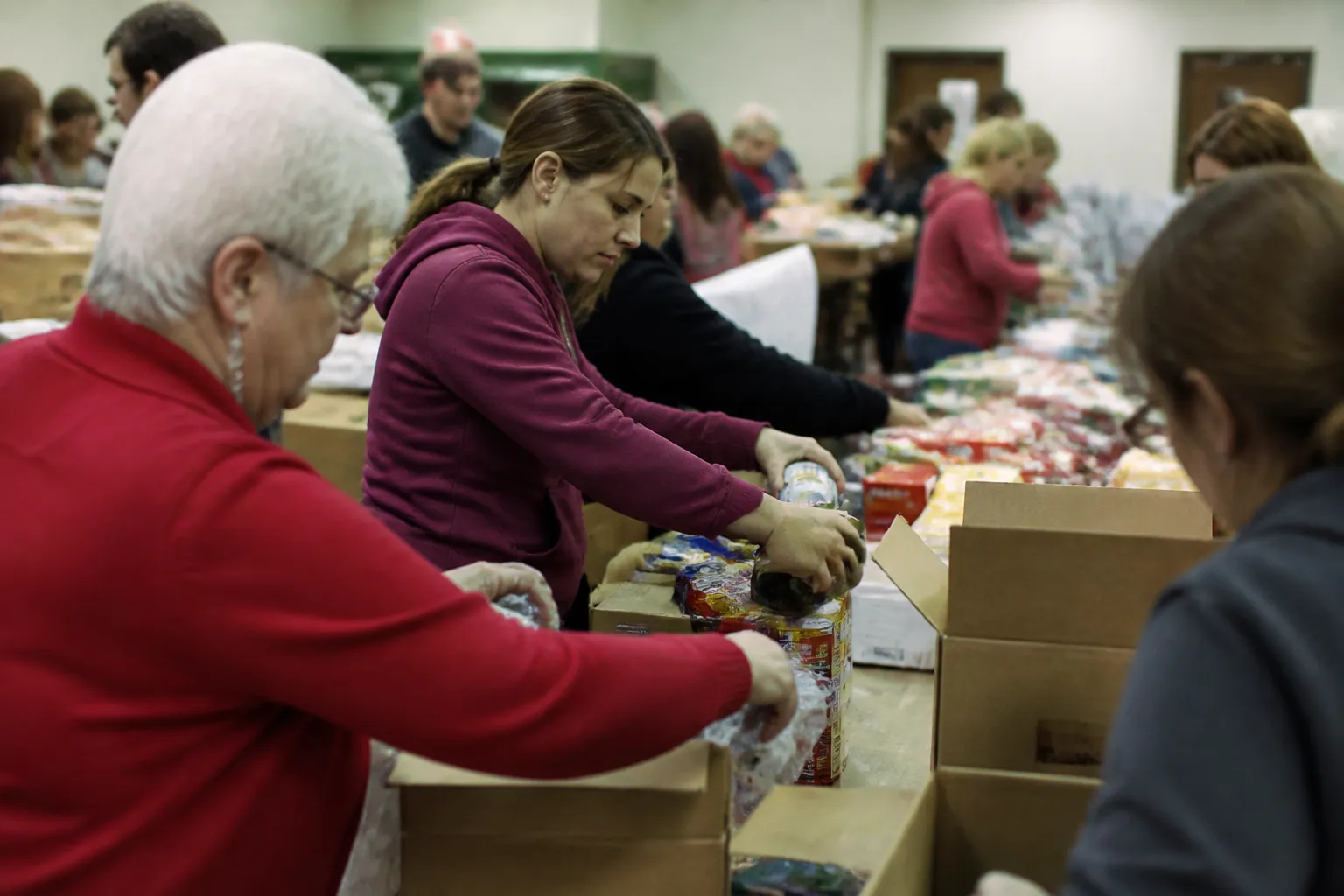 Volunteers sort donated groceries and supplies for Lincoln Tree of Hope Christmas food drive in Lincoln.