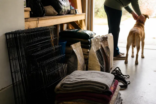 Where to donate pet supplies in Austin TX and match each item to a rescue need